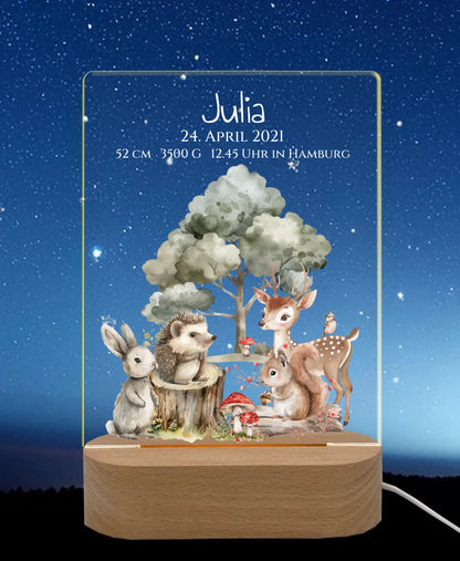 Personalisiertes LED Nachtlicht für Babys zur Gebut & Taufe - Kinderzimmer Deko 2 LED-Nachtlicht für Erwachsene & Kinder rechteckig Transparent