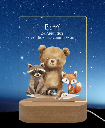 Personalisiertes LED Nachtlicht Waldtiere für Babys zur Gebut & Taufe - Kinderzimmer Deko 3 LED-Nachtlicht für Erwachsene & Kinder rechteckig Transparent