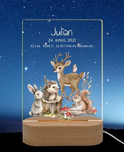 Personalisiertes LED Nachtlicht Waldtiere für Babys zur Gebut & Taufe - Kinderzimmer Deko LED-Nachtlicht für Erwachsene & Kinder rechteckig Transparent