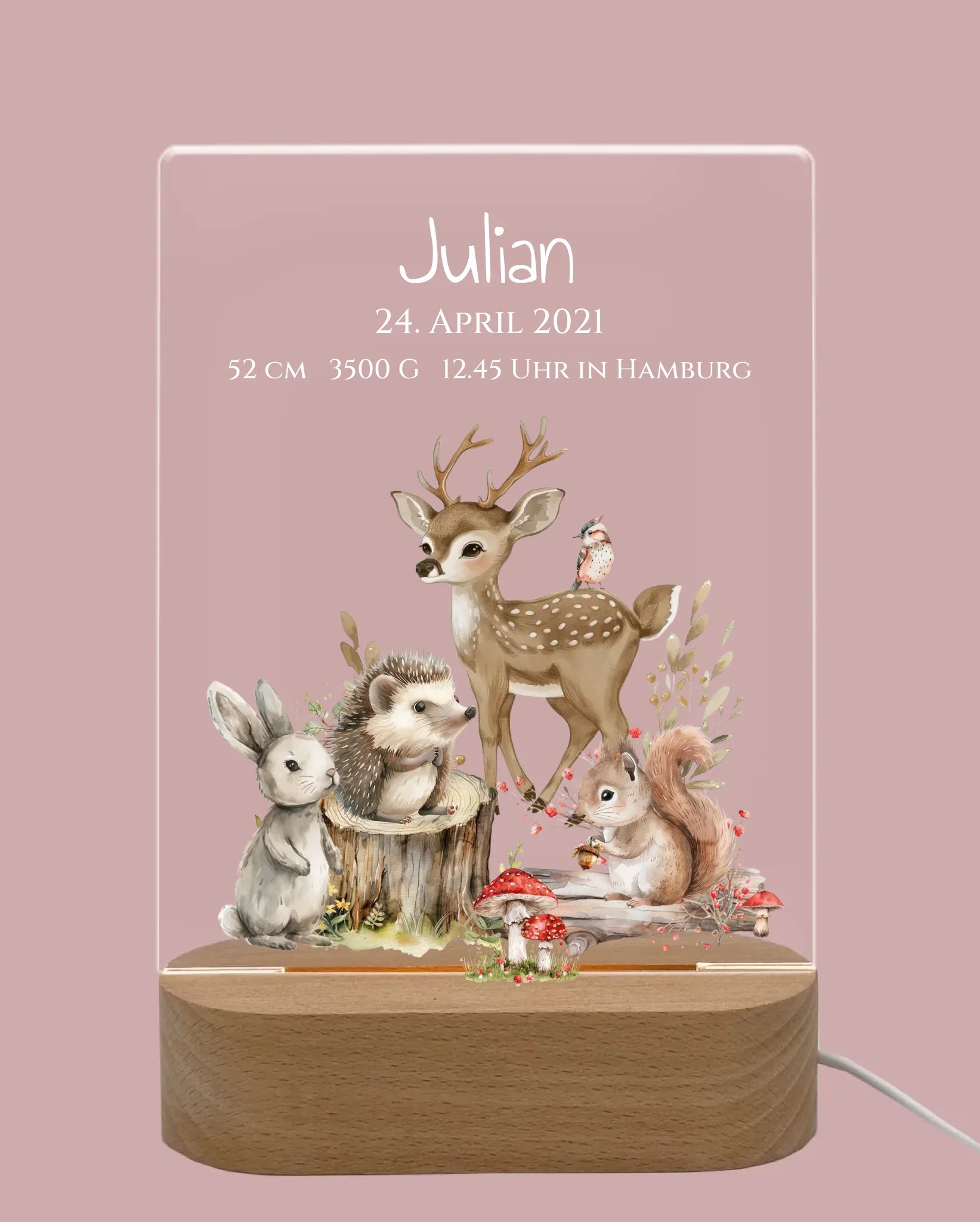 Personalisiertes LED Nachtlicht Waldtiere für Babys zur Gebut & Taufe - Kinderzimmer Deko